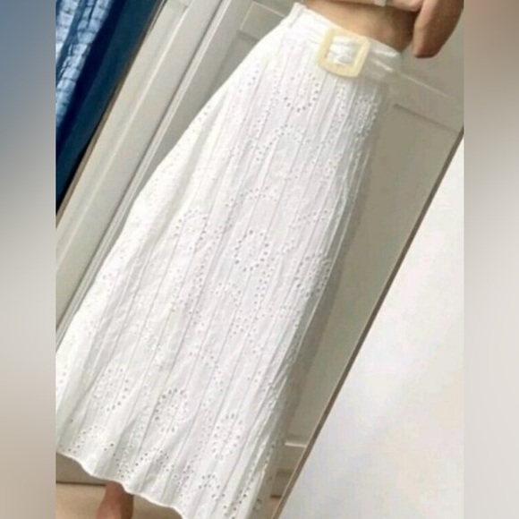 Zara EMBROIDERED EYELET MIDI SKIRT, size XS, NWT - Picture 4 of 4